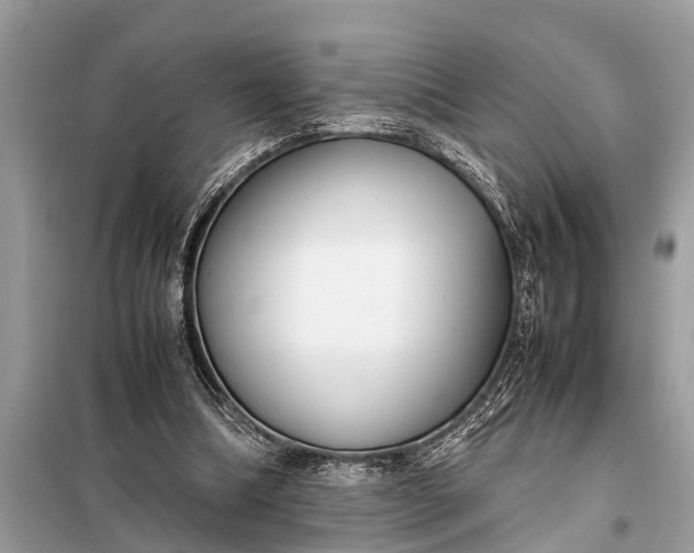 X0000098190298200805081054