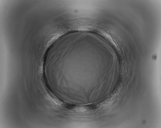 X0000098190299200805081054