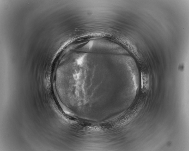X0000098190300200805081054