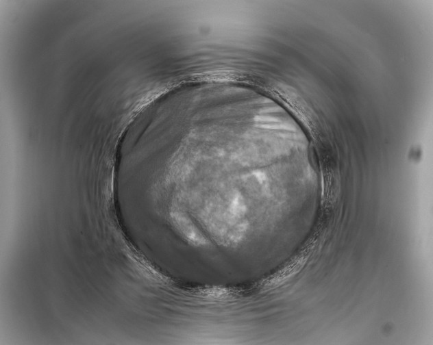 X0000098190301200805081054