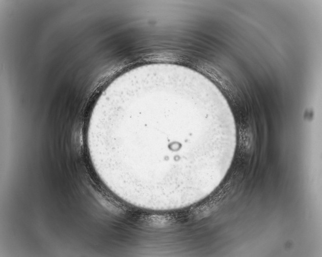 X0000098190302200805081054