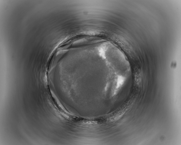 X0000098190304200805081054