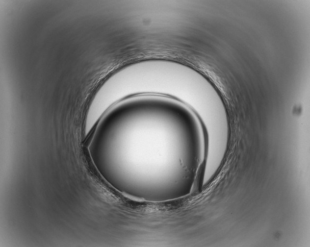 X0000098190305200805081054