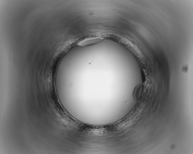 X0000098190306200805081054