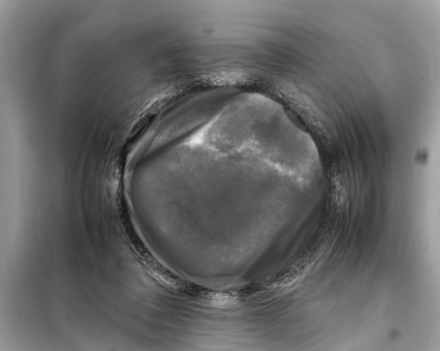 X0000098190308200805081054