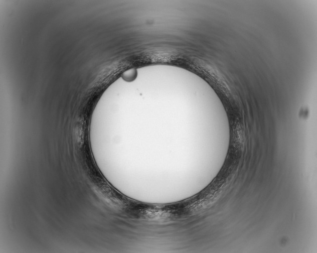 X0000098190311200805081054