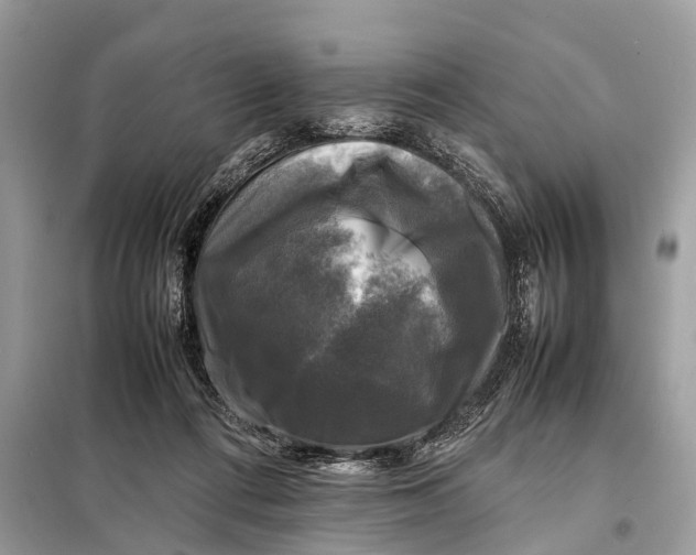 X0000098190312200805081054