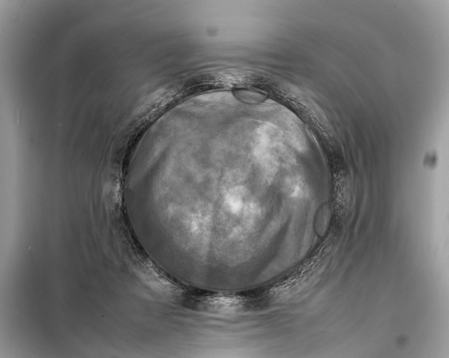 X0000098190313200805081054