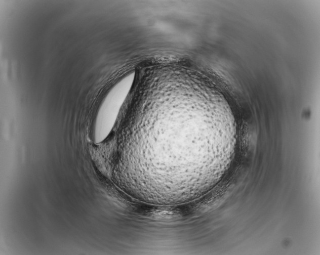 X0000098190315200805081054