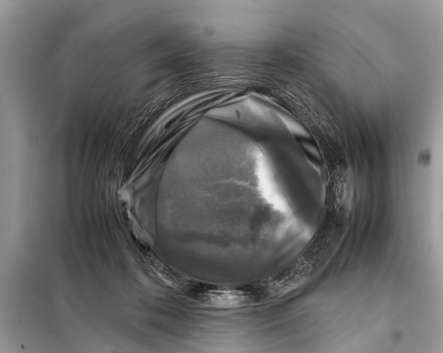 X0000098190316200805081054