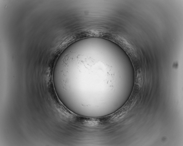 X0000098190318200805081054