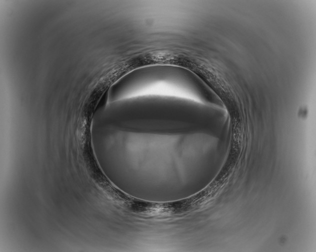 X0000098190319200805081054