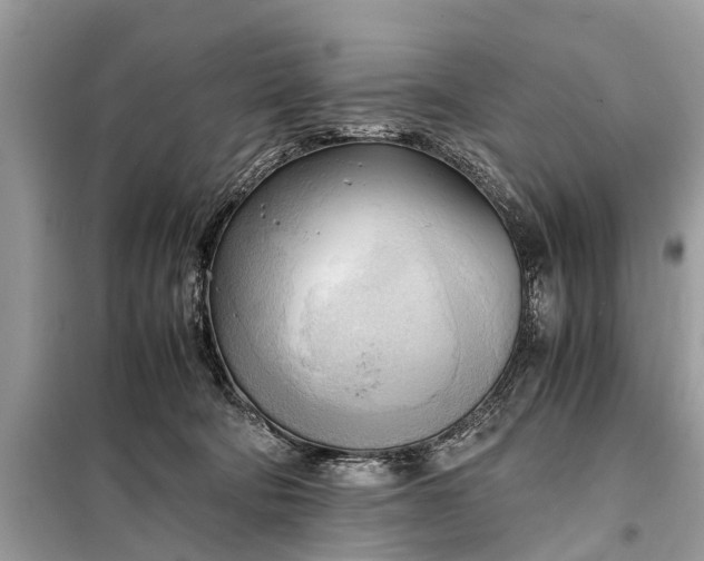 X0000098190322200805081054