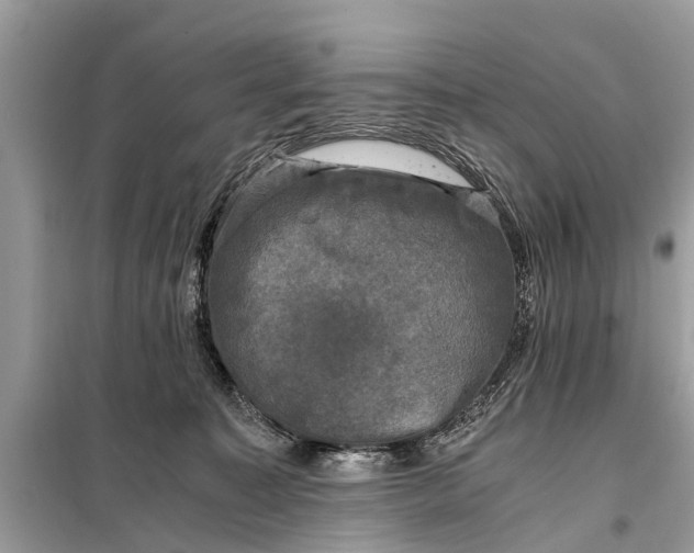 X0000098190323200805081054