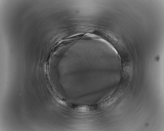 X0000098190325200805081054