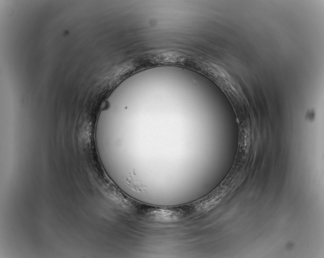 X0000098190326200805081054
