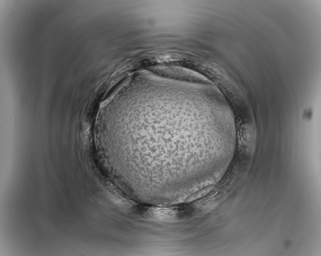 X0000098190327200805081054