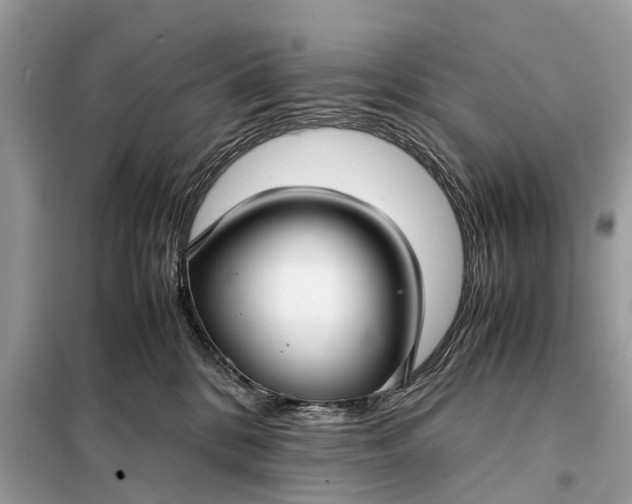 X0000098190328200805081054
