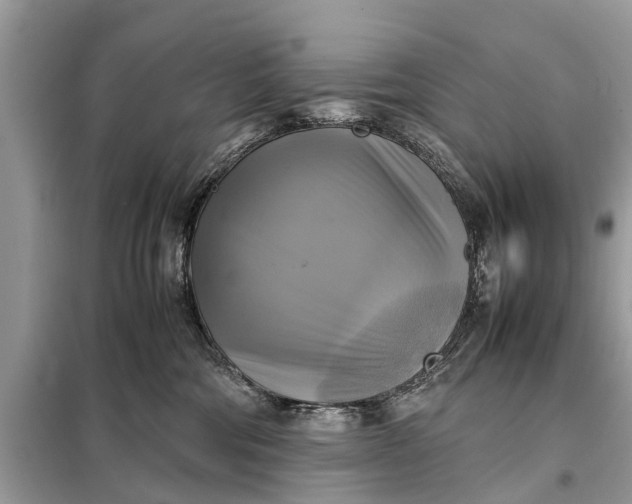 X0000098190330200805081054