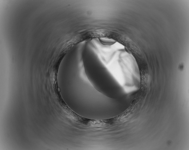 X0000098190331200805081054