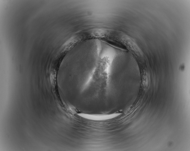 X0000098190332200805081054