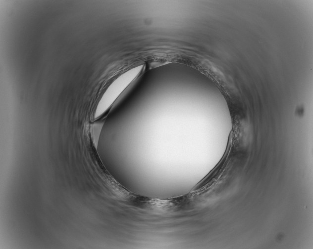 X0000098190333200805081054