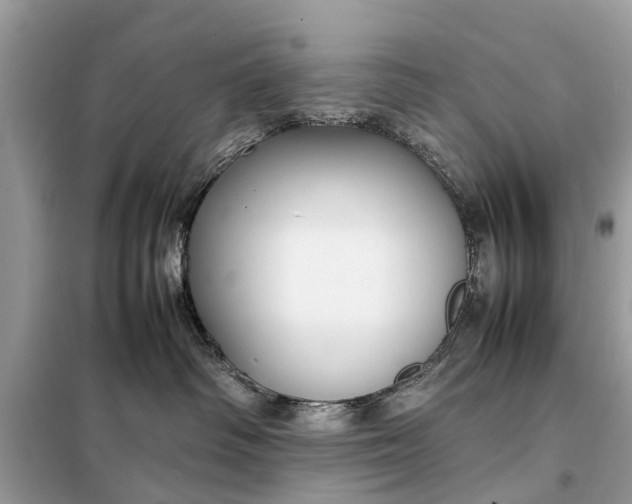 X0000098190334200805081054