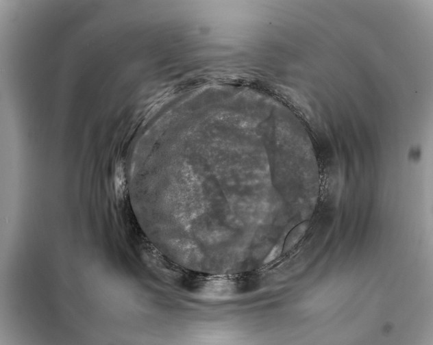 X0000098190335200805081054