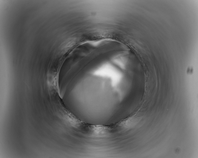 X0000098190336200805081054