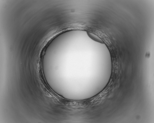 X0000098190338200805081053