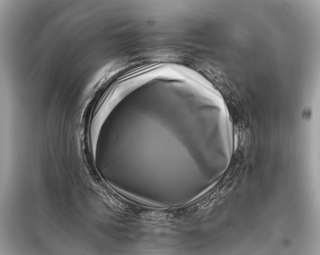 X0000098190339200805081053