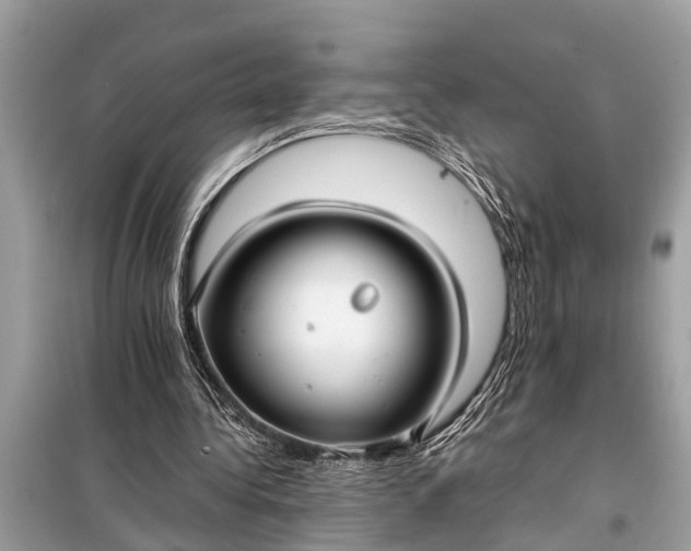 X0000098190340200805081053