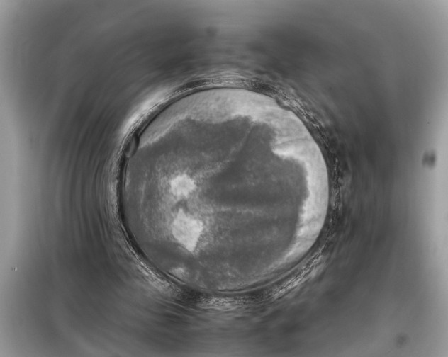 X0000098190341200805081053