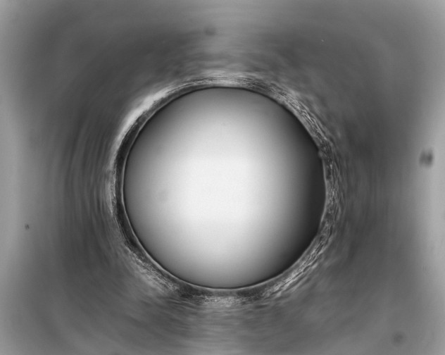 X0000098190342200805081053
