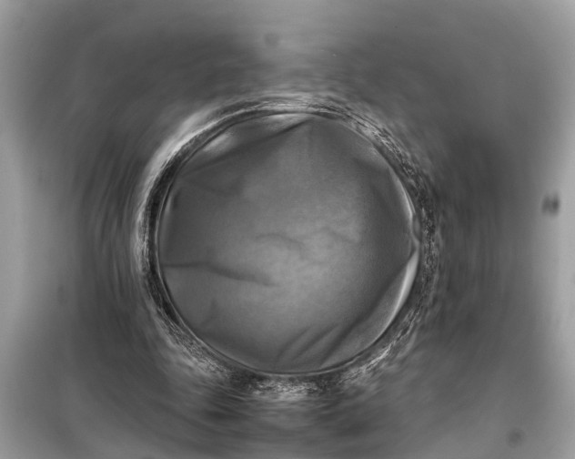X0000098190343200805081053