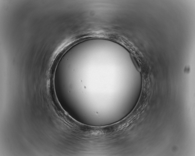 X0000098190344200805081053