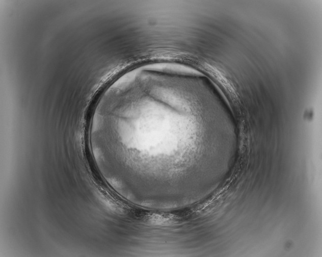 X0000098190346200805081053