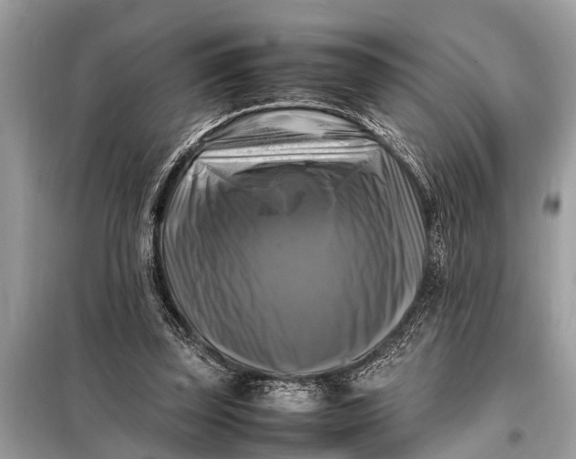 X0000098190347200805081053
