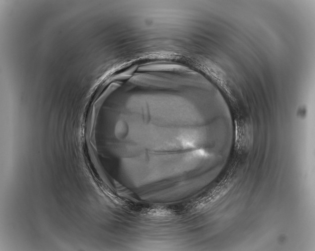 X0000098190348200805081053