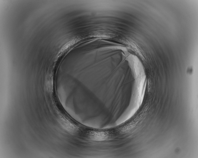 X0000098190349200805081053