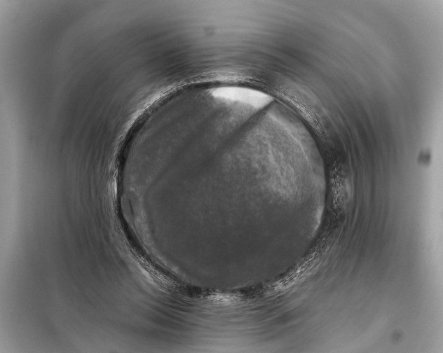 X0000098190350200805081053