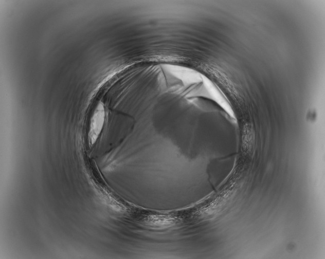 X0000098190351200805081053