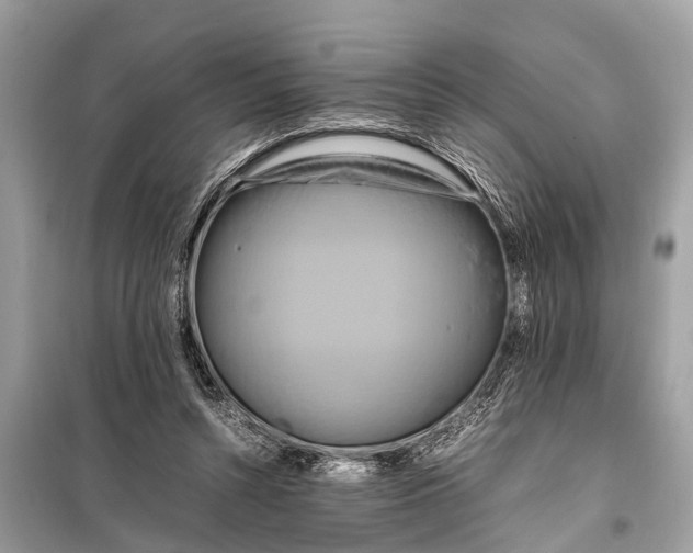 X0000098190352200805081053