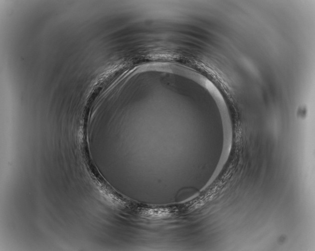 X0000098190353200805081053