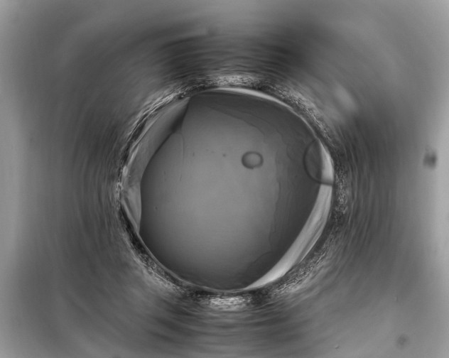 X0000098190357200805081053