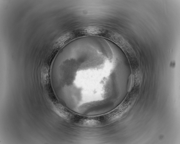 X0000098190360200805081053