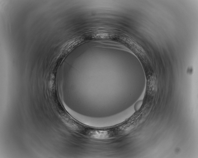 X0000098190361200805081053