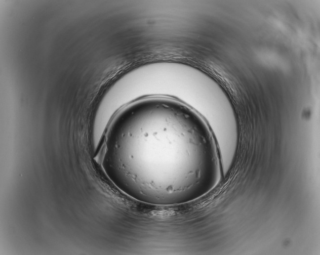 X0000098190362200805081053