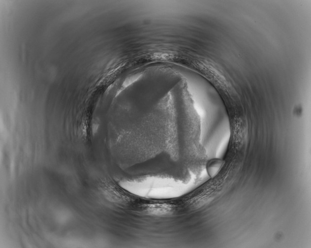 X0000098190363200805081053