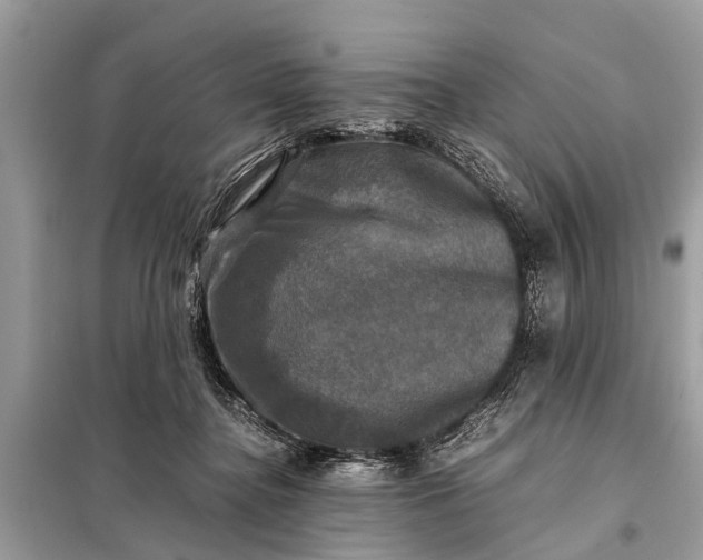 X0000098190364200805081053